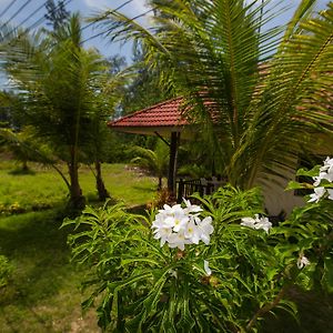 Budget Bungalow
